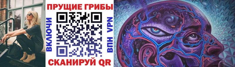 Псилоцибиновые грибы Cubensis  купить наркотики цена  Кореновск 